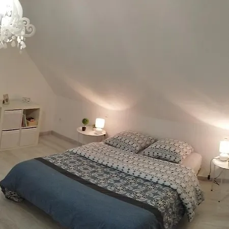 Au Calme Avec Piscine Et Jacuzzi * Riedwihr